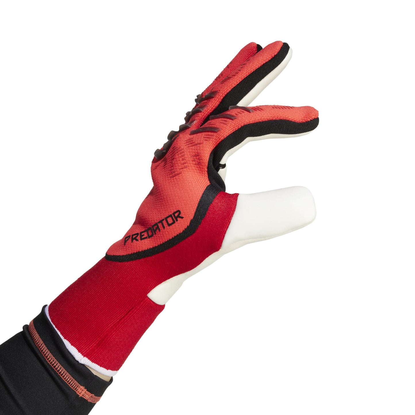 Guanti da portiere Predator Pro