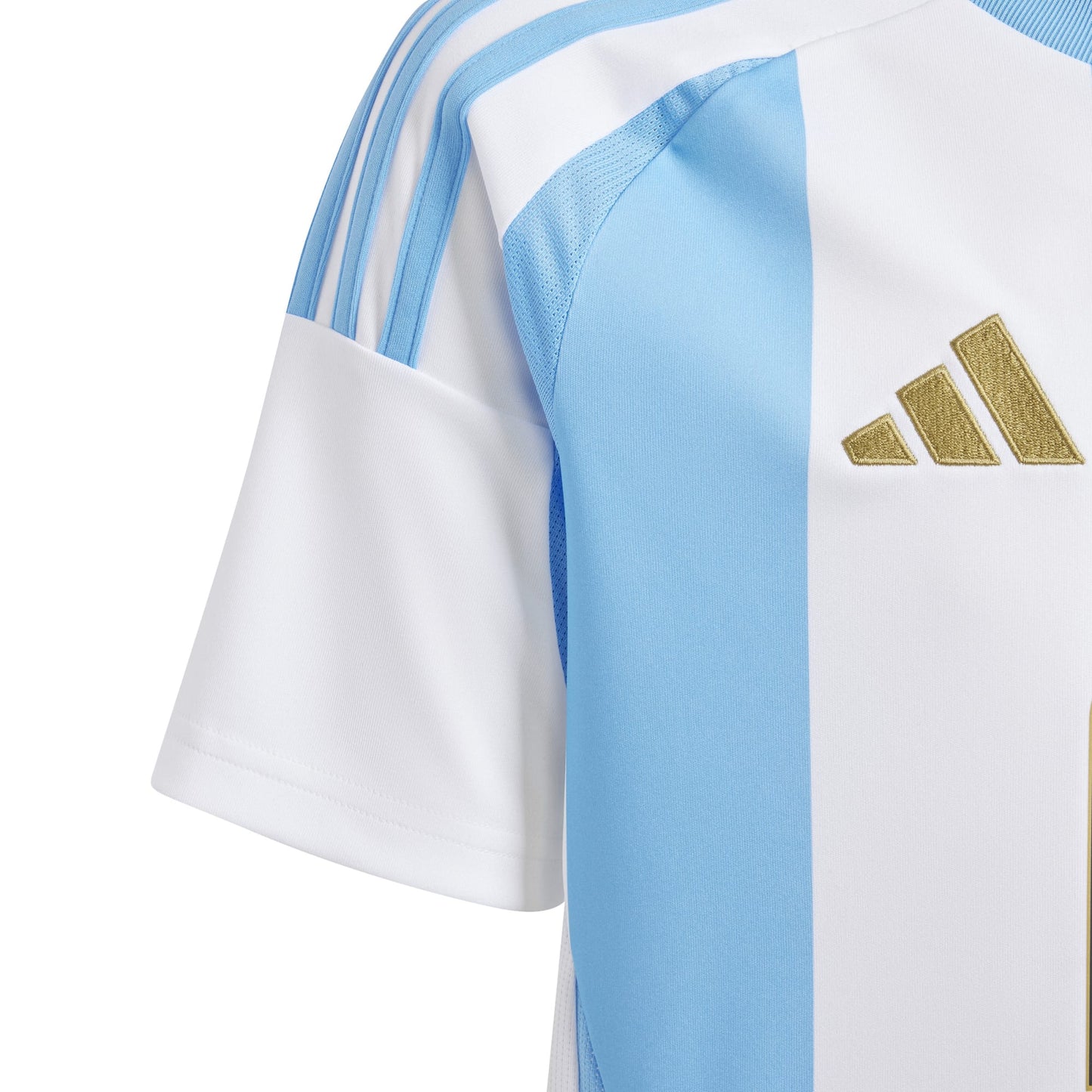 Argentina 1a Maglia 24/25 Adulto Messi 10